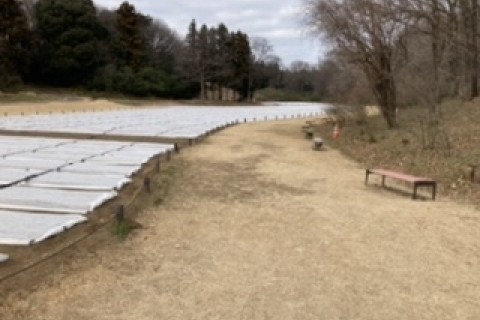 第２回SPCクロスカントリー選手権（申し込み延長）