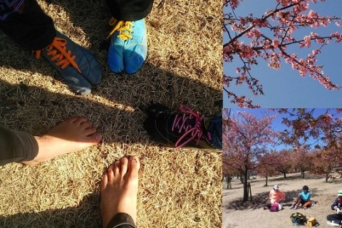 感Run舎 3月のランニングミーティング ～お花見Run～