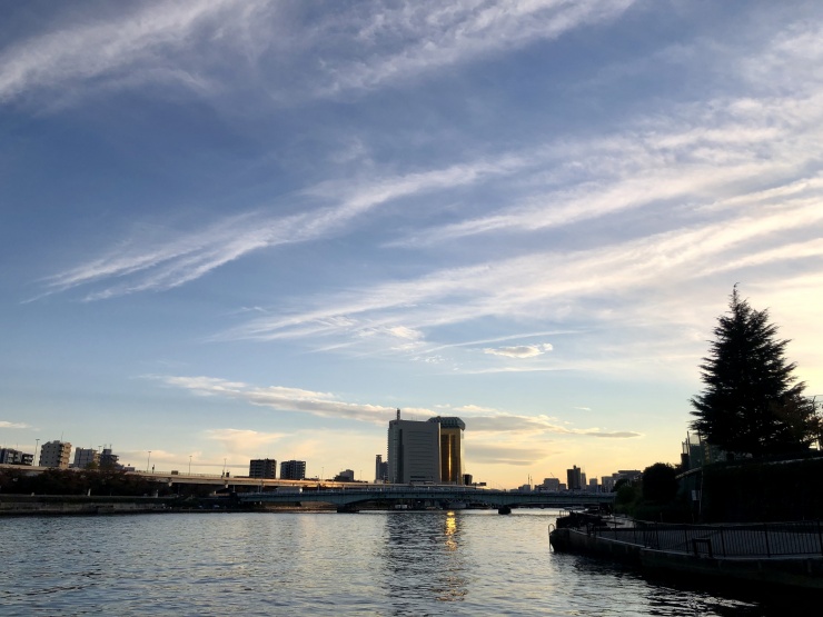 広い空を眺めながら歩く