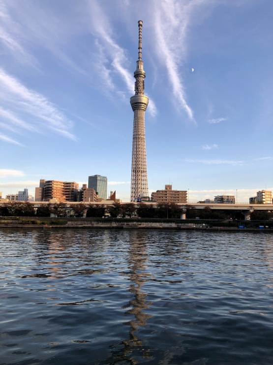 スカイツリーを横目に