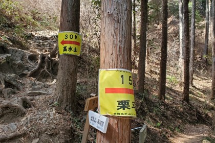 初心者向け　青梅高水中級コース試走会トレラン　約15キロ　2700円