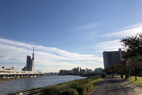 【初心者も安心】ノルディックウォーキングで楽しむ隅田川テラス＆スカイツリー～浅草