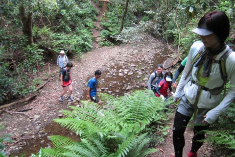 逗子葉山トレラン16キロ＠ランニングフォームのポイントレッスン付き