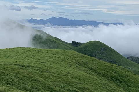 平尾台トレイルランニング試走会（費用不要・自由参加）