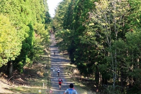 第10回　姫ボタル・瀞川平トレイルラン