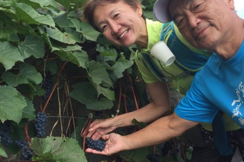 ふらのスイーツ＆ワインマラニック