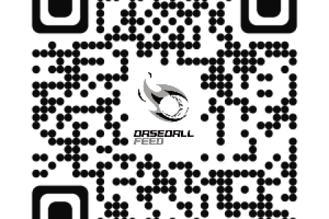 4月3日(日) WILDPITCH BASEBALL CLUB 等々力球場 体験練習会