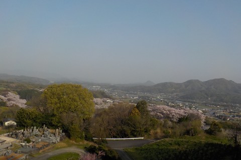 なかばトレイル阿讃