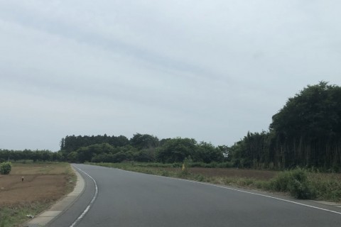 レイク to シーフード２　〜初夏の里山フィットネスライド〜　　りんりんポート土浦発着60km