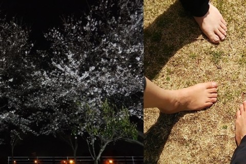 感Run舎 4月のランニングミーティング ～裸足Runからの夜桜見物 de 裸足談議～