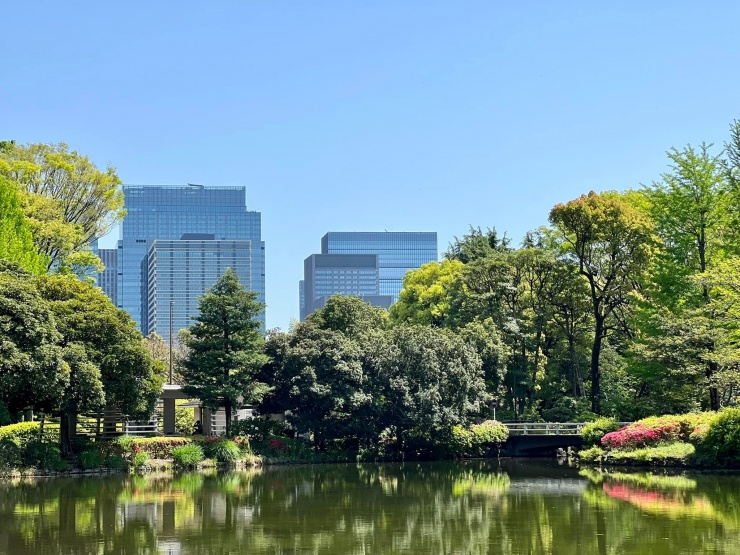 都会のオアシス