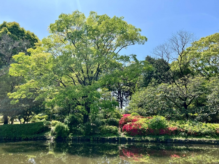 四季折々の花や新緑美しい水辺