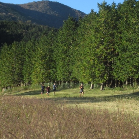 ホテル所有の芝生クロスカントリーコース。森の中を走ります