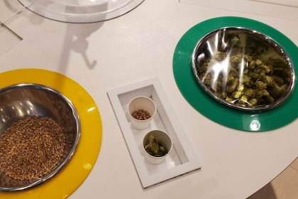 9名様限定　キリンビール生麦工場見学ラン　約19キロ　キロ約7～8分　3000円(見学代込み)