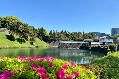 花と新緑の皇居ノルディックウォーキング