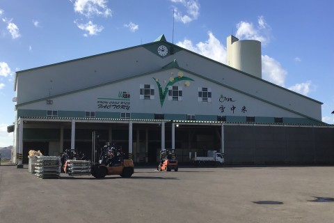 ほたるの里　夏のSNOWマラニック