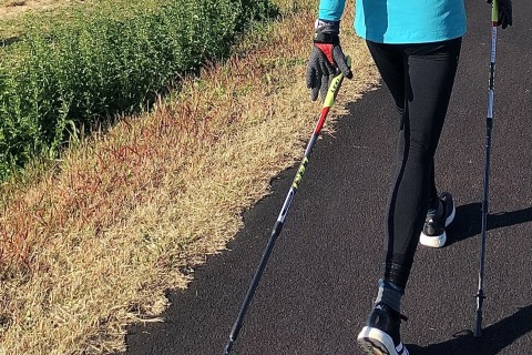 花と新緑の皇居ノルディックウォーキング