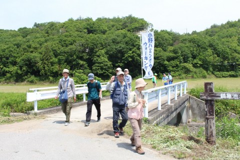 小野ハミングウェイウオーキング