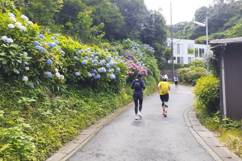 江ノ電と紫陽花めぐり15キロラン@ランニングフォームのポイントレッスン付き