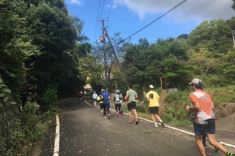 ★第66回「伊予峠巡走」（芝ヶ峠界隈三低山巡り）※上り対策オプション教室あり