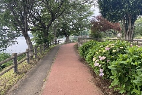 第1回　下妻 砂沼みんなのランニングフェスタ