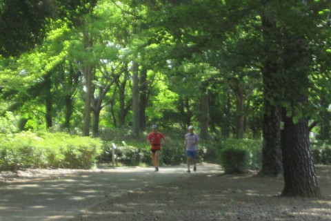 【ニッポンランナーズ主催】1キロ×20本