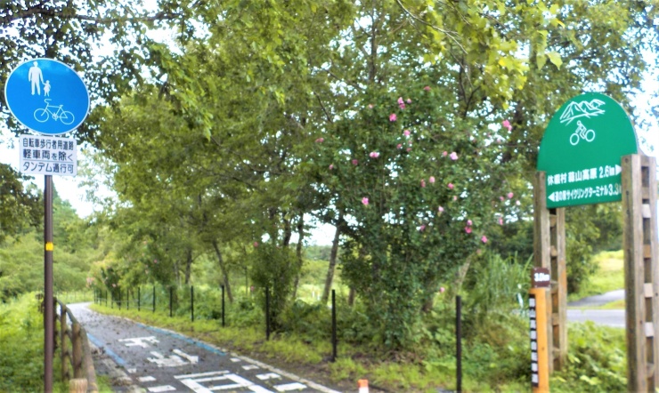 後半は灼熱舗装道