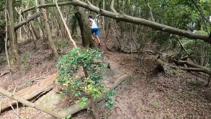 アップダウンが多い！