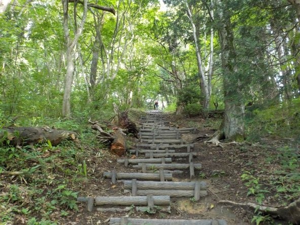 激トレはじまり