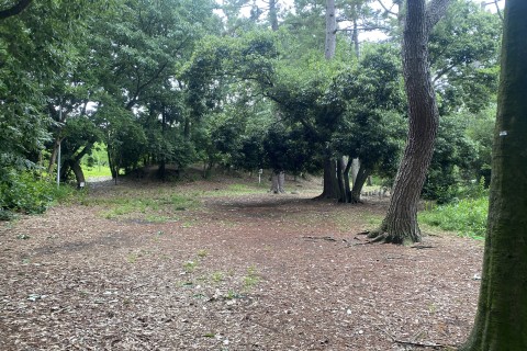 クロスカントリー走 練習会 4K×4セット【服部緑地】