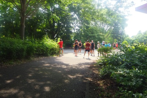 真夏のインターバル走1ｋｍ×15本+流し100Ｍ×10本