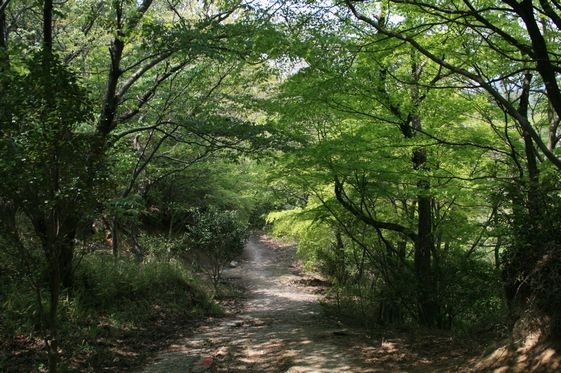 気持ちいいコース