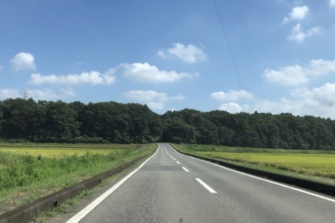 バル&サンダー　〜秋の雷神カフェランチサイクリング〜　金村別雷神社発着46km