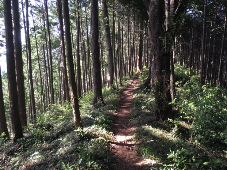 午後はトレイルに入ります！ 自転車をとめて少しバス移動。 午後は徒歩でトレイルに入ります。 今度は自分の足で土を踏みしめて山頂を目指します。