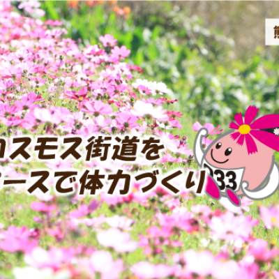第40回しすいコスモスマラソン大会