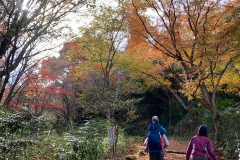 第5回　生駒山バーティカルレース2026