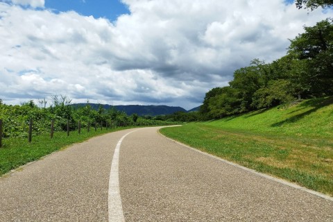 第1回マソ練駅伝競走大会 in 背割堤