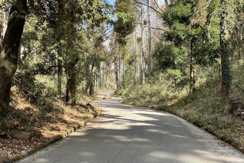 ◆11月20日(日)  ランニングクリニック＋100分ロングランin昭和の森・小中池公園