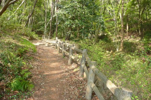 【初心者イベント】太平山☆ぶどう団地ゆるラン♪(＊ﾟ∀ﾟ)