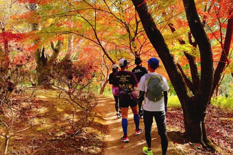 ロゲイニング in飛鳥 ～奈良マラソン×飛鳥ハーフマラソン～