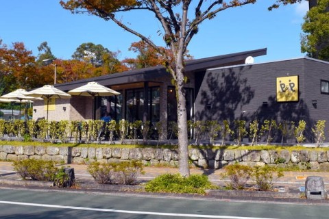 龍馬マラソン翌朝リカバリーモーニング観光ゆるゆるRUN &walk　SUI