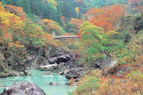Spa to summit！ さくらやまトレイル