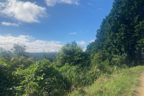 RUNPOYA青梅丘陵トレイルランニング10km【初心者/未経験者推奨・歓迎】