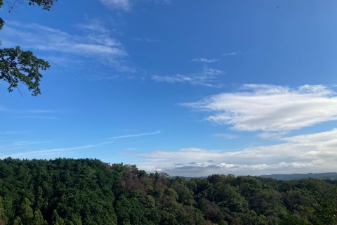 RUNPOYA青梅丘陵トレイルランニング10km【初心者/未経験者推奨・歓迎】