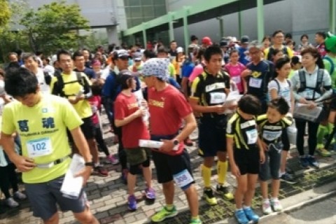 柏　ちずあそび