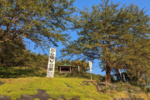 更木発見ウォーキング