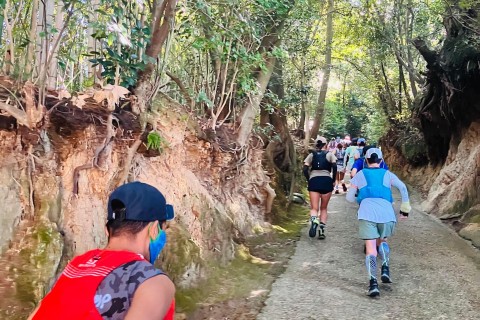 ◆2月28日(土)きさいち【新春！激坂トレラン21st】獅子窟寺＆森エリア激坂登りチャレンジ！