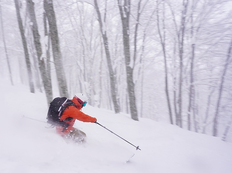 パウダーランを狙います