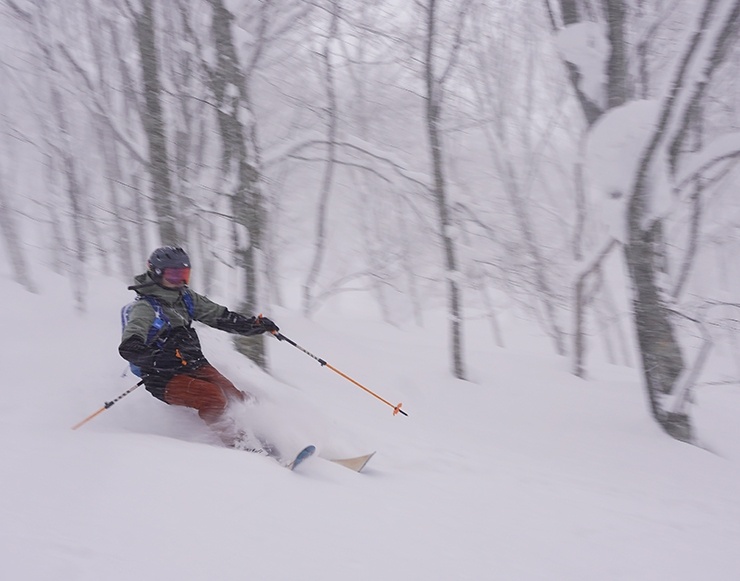 林間は気持ちいいですが激突注意