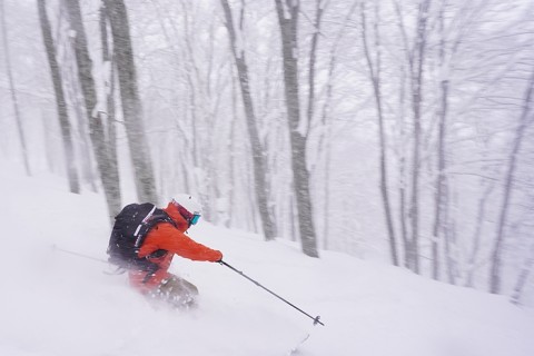 シナノワンダーフォーゲル【白馬コルチナバックカントリースキー】